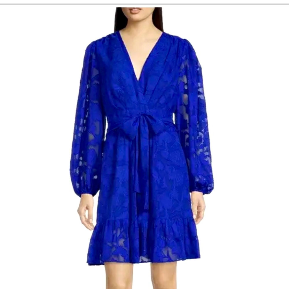 NEW Alex Marie Long Sleeve Tie Waist V-Neck Tiered Hem Burnout A-Line Dress 14.
